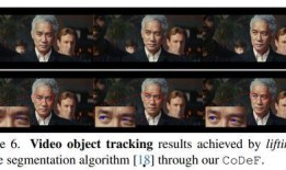 大鹅爆料间谍是真的吗视频,真相揭秘与视频分析