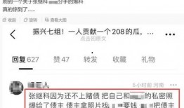 青岛负面新闻爆料事件,真相与反思的漩涡